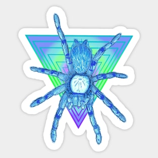 Tarantula “Vaporwave” Triangle V5 Sticker